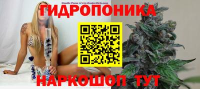 молекула духа Сланцы