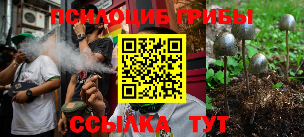 Псилоцибиновые грибы Magic Shrooms  Галлюциногенные грибы прущие грибы  как найти наркотики  Вход с VPN  Новодвинск 
